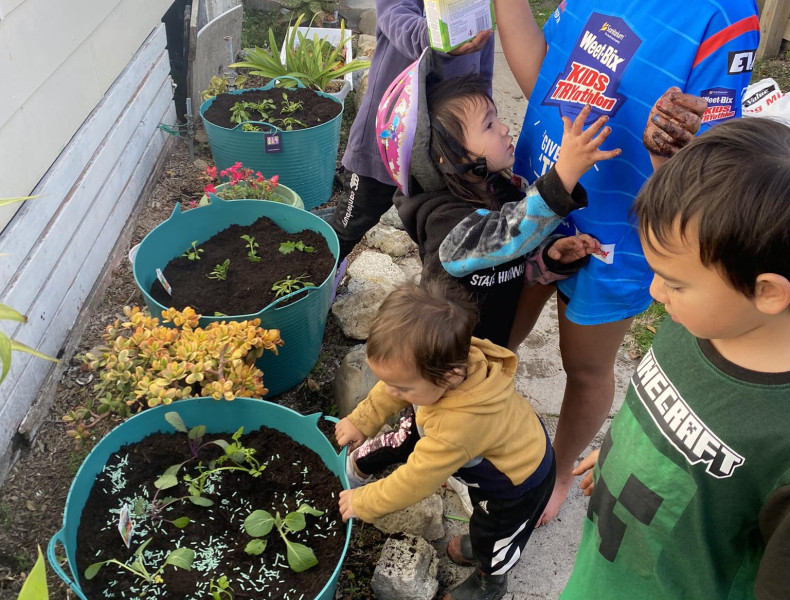 Gardens in Buckets